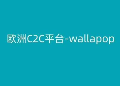 欧洲C2C平台-wallapop-kim跨境电商教程-优知网