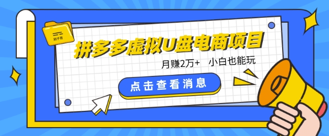 拼多多虚拟U盘电商红利项目：月赚2万+，新手小白也能玩-优知网