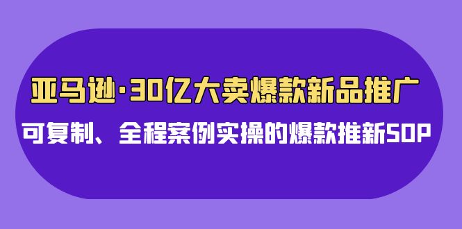 亚马逊30亿大卖爆款新品推广，可复制、全程案例实操的爆款推新SOP-优知网