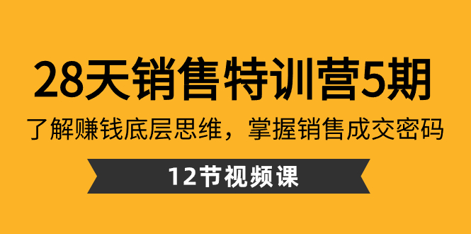 28天·销售特训营5期：了解赚钱底层思维，掌握销售成交密码（12节课）-优知网