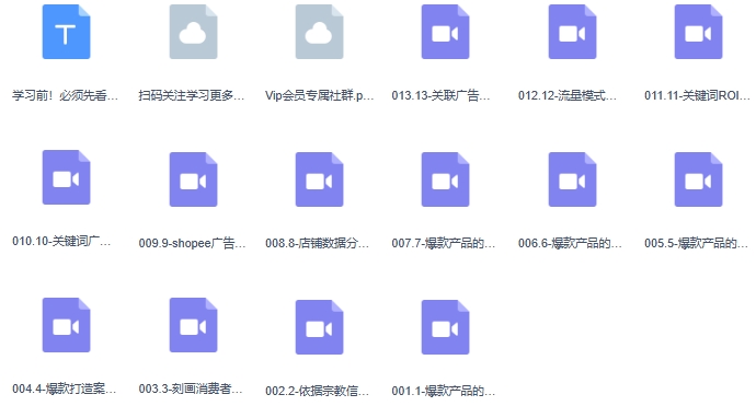 Shopee-爆款打造核心运营方法，下一个大卖就是你（13节课)-第2张