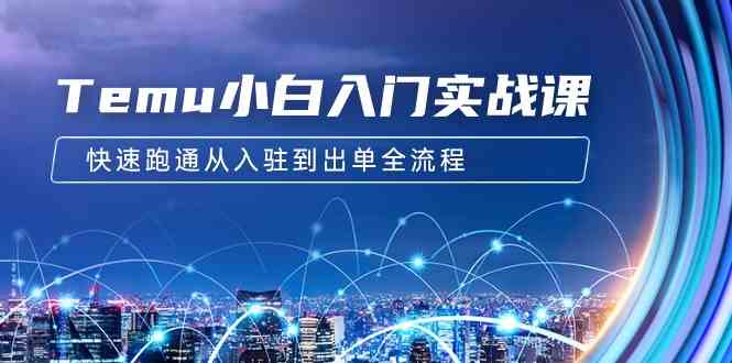 Temu小白入门实战课：跨境拼多多电商培训 快速跑通从入驻到出单全流程-12节-优知网