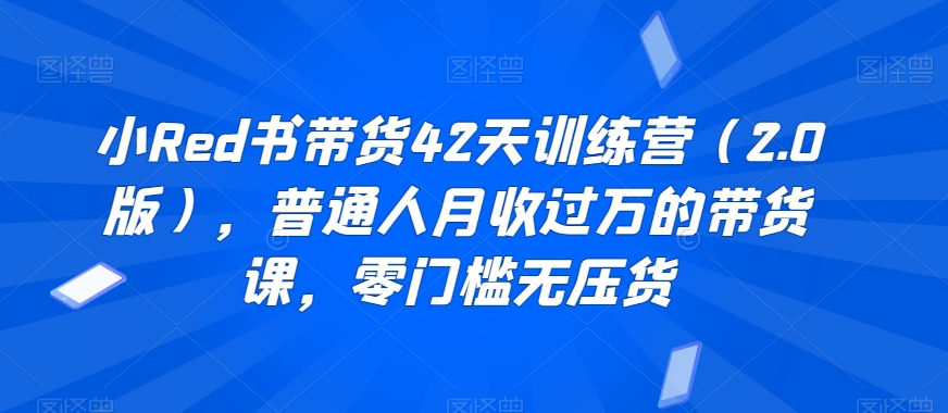 小红书带货42天训练营（2.0版），普通人月收过万的带货课，零门槛无压货-优知网