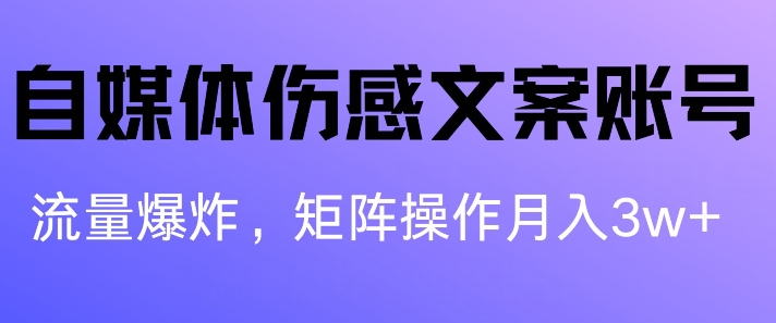 自媒体平台伤感文案账户，制作简单，总流量发生爆炸账户非常容易拷贝，引流矩阵月入1W-优知网