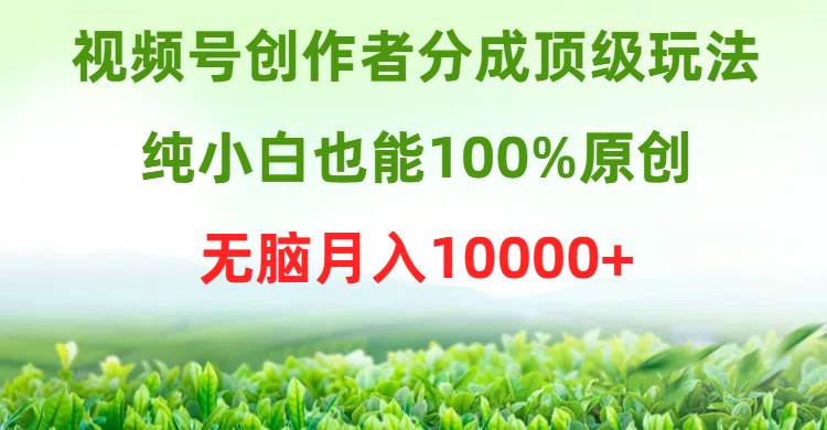 视频号创作者分成顶级玩法，纯小白也能100%原创，无脑月入10000+-优知网