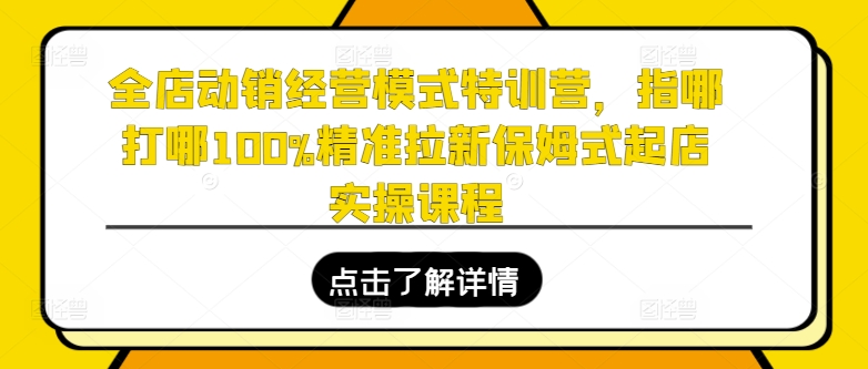 全店动销运营模式夏令营，指哪打哪100%精确引流跟踪服务出单实操课程-优知网