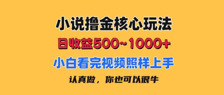 小说撸金核心玩法，日收益500-1000+，小白看完照样上手，0成本有手就行-优知网