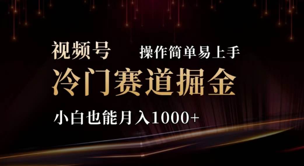 2024视频号冷门赛道掘金，操作简单轻松上手，小白也能月入1000+-优知网