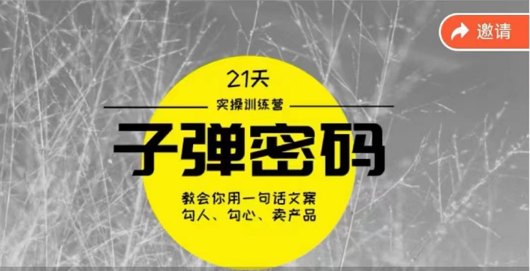 《子弹密码训练营》用一句话文案撩人勾心推销产品，21天学习到顶尖文案高手方案和方法-优知网