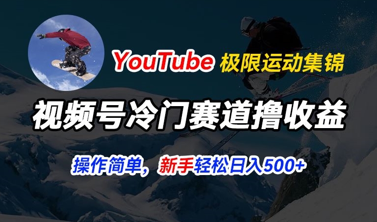 微信视频号小众跑道撸盈利，YouTube运送滑雪运动合集，暴力行为养号，使用方便总流量高，轻轻松松日入5张【揭密】-优知网