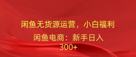 闲鱼平台无货源电商经营，新手褔利，日入300加-优知网