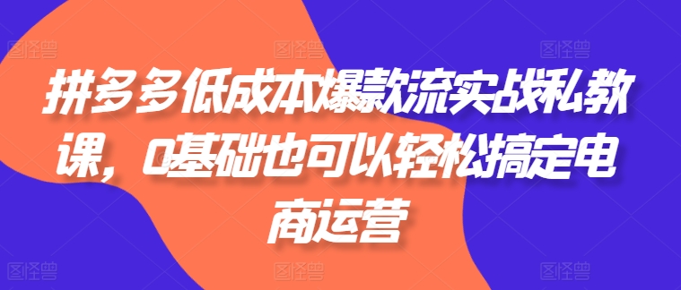 拼多多平台降低成本爆品流实战演练私教，0基本还可以轻松解决网店运营-优知网