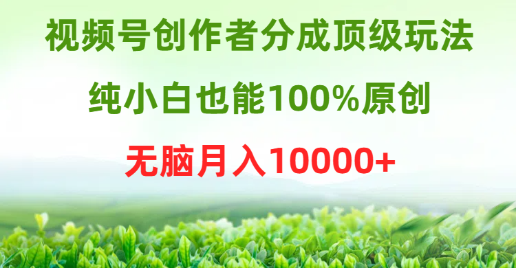 微信视频号原创者分为顶尖游戏玩法，纯小白也可以100%原创设计，没脑子月收入10000-优知网