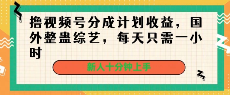 撸视频号分成计划收益，国外整蛊综艺，每天只需一小时，新人十分钟上手-优知网