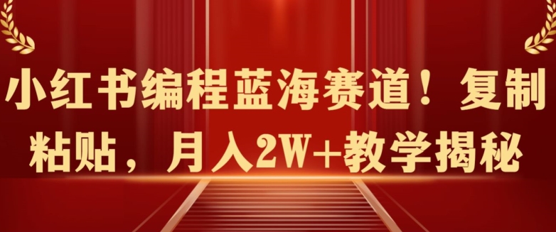 小红书编程蓝海赛道!复制粘贴，月入2W+教学揭秘-优知网