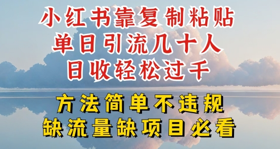 小红书靠复制粘贴单日引流几十人目收轻松过千，方法简单不违规【揭秘】-优知网