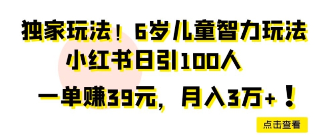 独家玩法，6岁儿童智力玩法，小红书日引100人-优知网