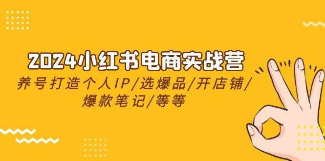 2024小红书电商实战营，养号打造IP/选爆品/开店铺/爆款笔记/等等（24节）-优知网