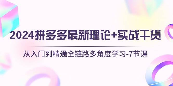 2024拼多多 最新理论+实战干货，从入门到精通全链路多角度学习-7节课-优知网