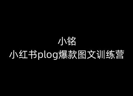 小铭-小红书的plog爆品图文并茂夏令营，教大家从0-1做小红书的-优知网