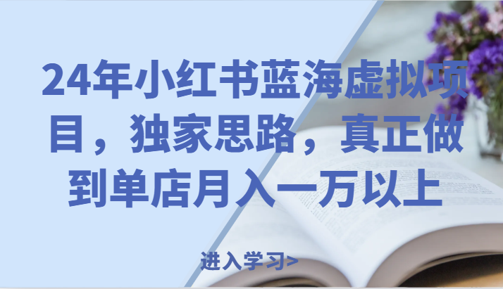 24年小红书蓝海虚拟项目，独家思路，真正做到单店月入一万以上。-优知网