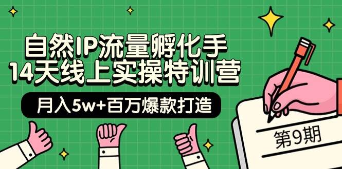 自然IP流量孵化手 14天线上实操特训营【第9期】月入5w+百万爆款打造 (74节)-优知网