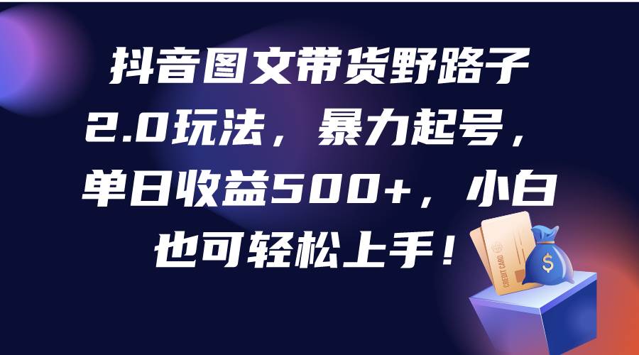 抖音图文带货野路子2.0玩法，暴力起号，单日收益500+，小白也可轻松上手！-优知网