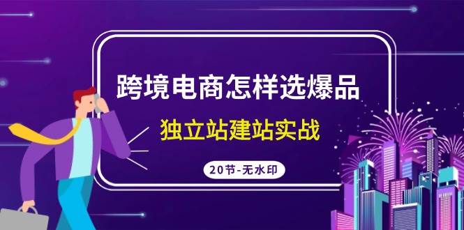 跨境电商怎样选爆品，独立站建站实战（20节高清无水印课）-优知网