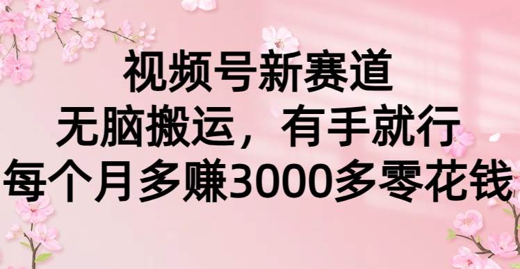 视频号新赛道，无脑搬运，有手就行，每个月多赚3000多零花钱-优知网