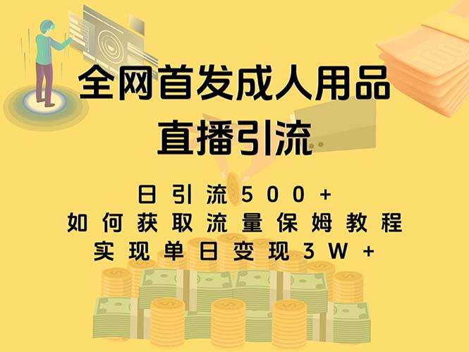 最新全网独创首发，成人用品直播引流获客暴力玩法，单日变现3w保姆级教程-优知网