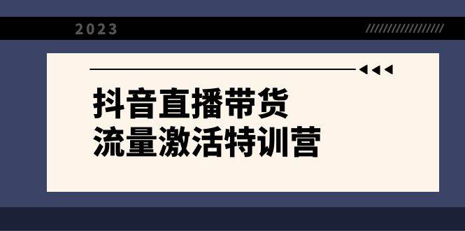 抖音直播带货-流量激活特训营，入行新手小白主播必学（21节课+资料）-优知网