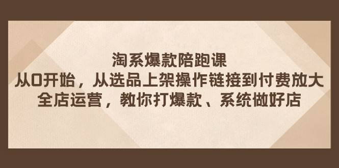 淘系爆款陪跑课 从选品上架操作链接到付费放大 全店运营 打爆款 系统做好店-优知网