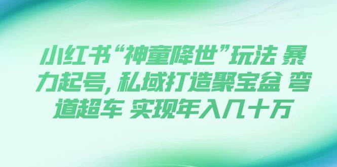 小红书“神童降世”玩法 暴力起号,私域打造聚宝盆 弯道超车 实现年入几十万-优知网