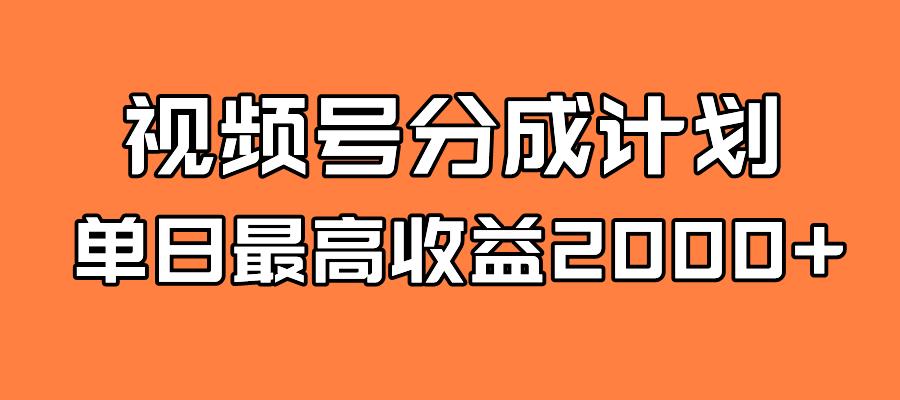 全新蓝海 视频号掘金计划 日入2000+-优知网