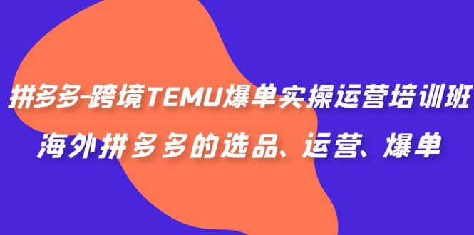 拼多多-跨境TEMU爆单实操运营培训班，海外拼多多的选品、运营、爆单-优知网