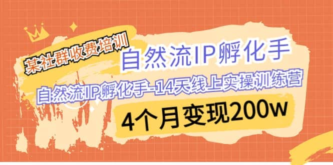 某社群收费培训：自然流IP 孵化手-14天线上实操训练营 4个月变现200w-优知网