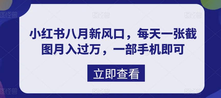 八月新风口，小红书虚拟项目一天收入1000+，实战揭秘-优知网