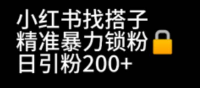 小红书找搭子暴力精准锁粉+引流日引200+精准粉-优知网