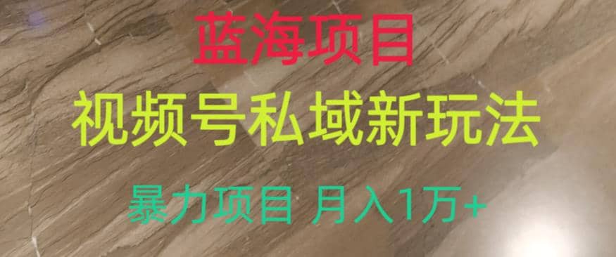 蓝海项目，视频号私域新玩法，暴力项目月入1万+【揭秘】-优知网