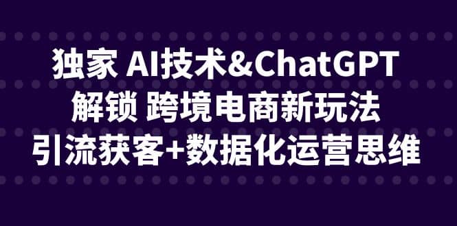 独家 AI技术ChatGPT解锁 跨境电商新玩法，引流获客+数据化运营思维-优知网