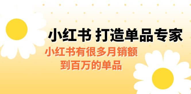 某公众号付费文章《小红书 打造单品专家》小红书有很多月销额到百万的单品-优知网