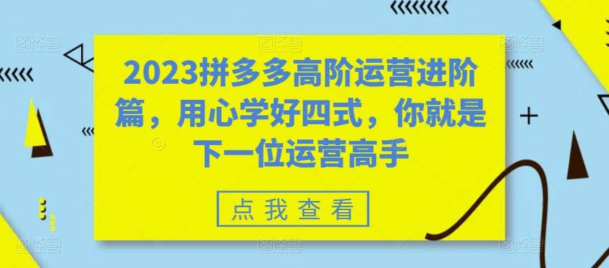 2023拼多多高阶运营进阶篇，用心学好四式，你就是下一位运营高手-优知网