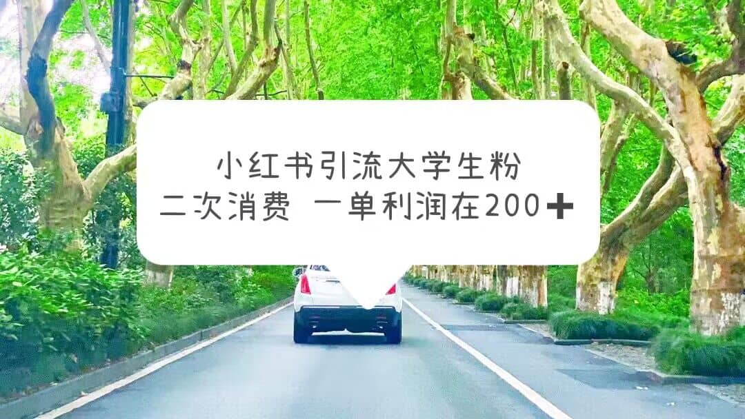 小红书引流大学生粉，变现项目，一单利润在200+（教程+资源）-优知网