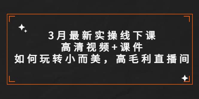 3月最新实操线下课高清视频+课件，如何玩转小而美，高毛利直播间-优知网