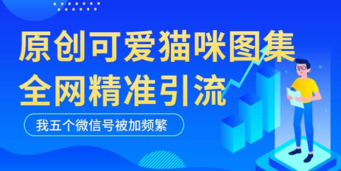 黑科技纯原创可爱猫咪图片，全网精准引流，实操5个VX号被加频繁-优知网