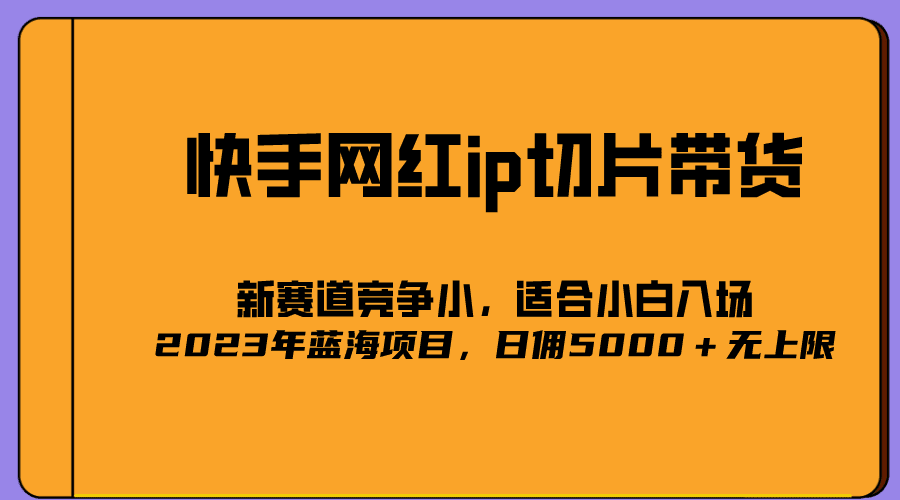 2023爆火的快手网红IP切片，号称日佣5000＋的蓝海项目，二驴的独家授权-优知网