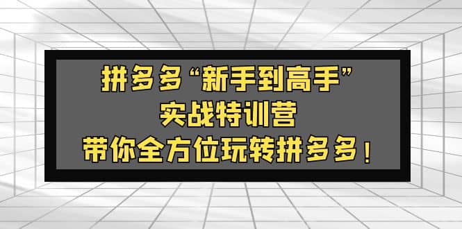 拼多多“新手到高手”实战特训营：带你全方位玩转拼多多-优知网