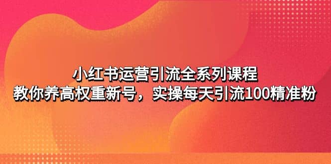 小红书运营引流全系列课程：教你养高权重新号-优知网