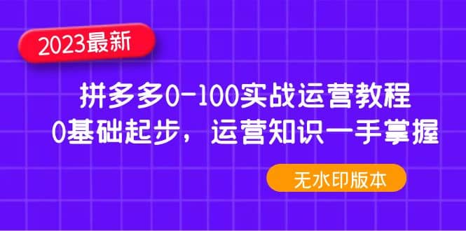 2023拼多多0-100实战运营教程，0基础起步，运营知识一手掌握（无水印）-优知网