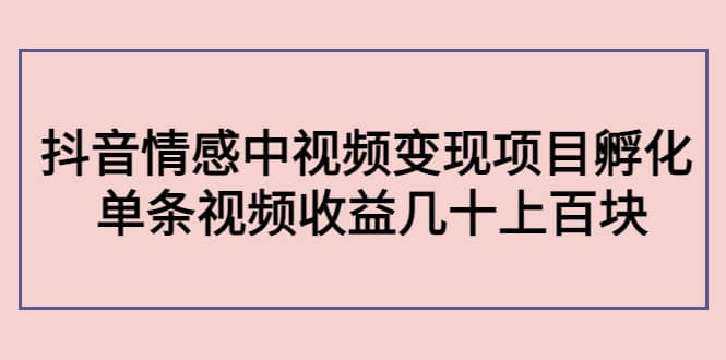 抖音情感中视频变现项目孵化-优知网